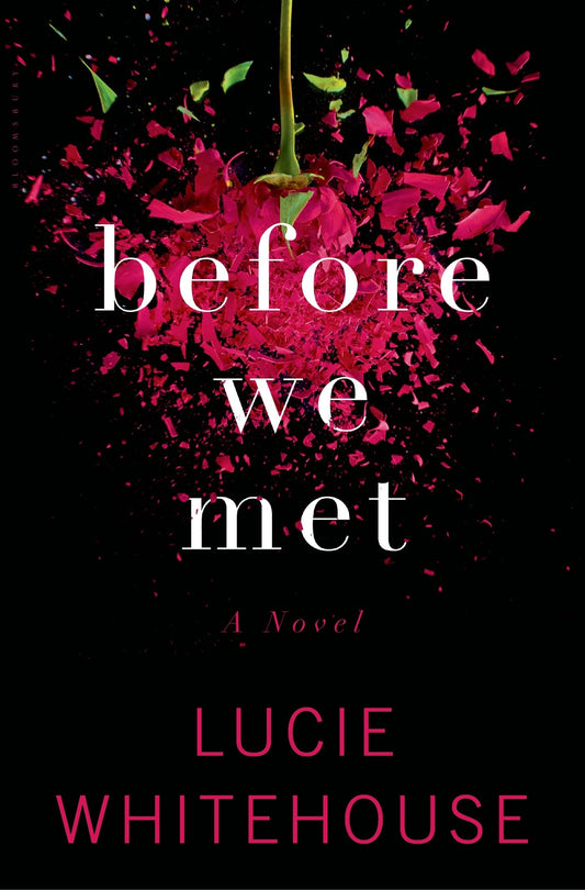 Before We Met: A Novel