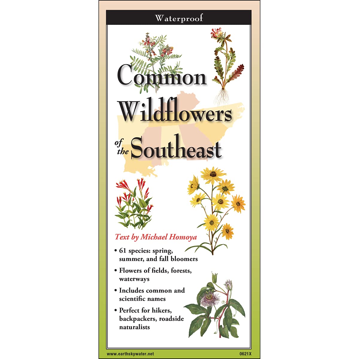 Common Wildflowers of the Southeast