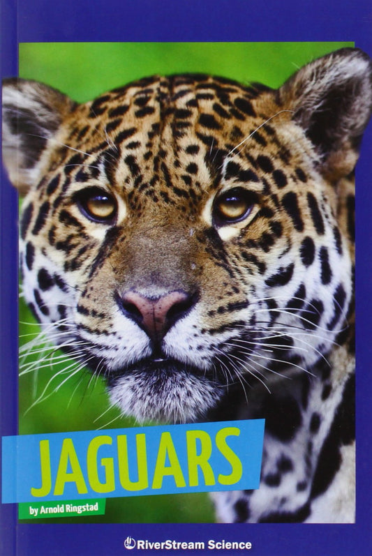 Jaguars (Wild Cats) - 2335