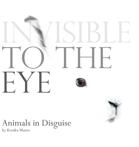 Invisible to the Eye: Animals in Disguise