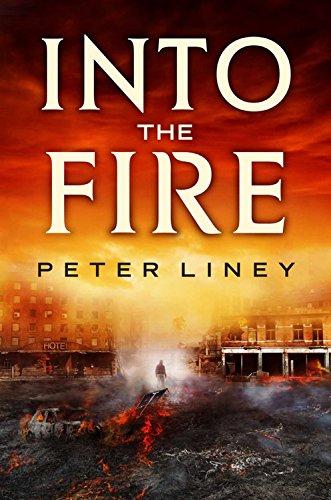 Into The Fire (The Detainee Series, 2)