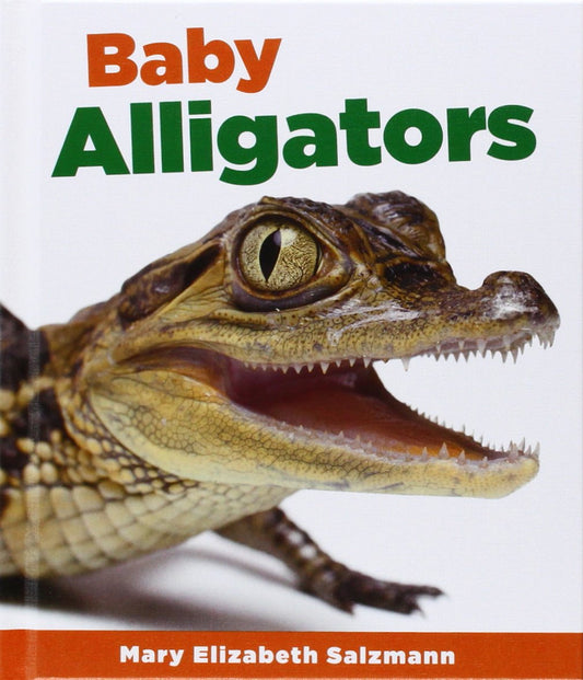 Baby Alligators (Baby Animals Set 2)