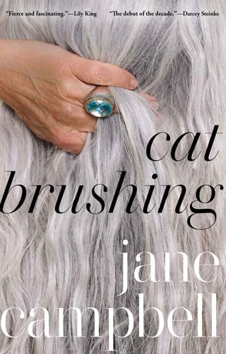 Cat brushing: and other stories