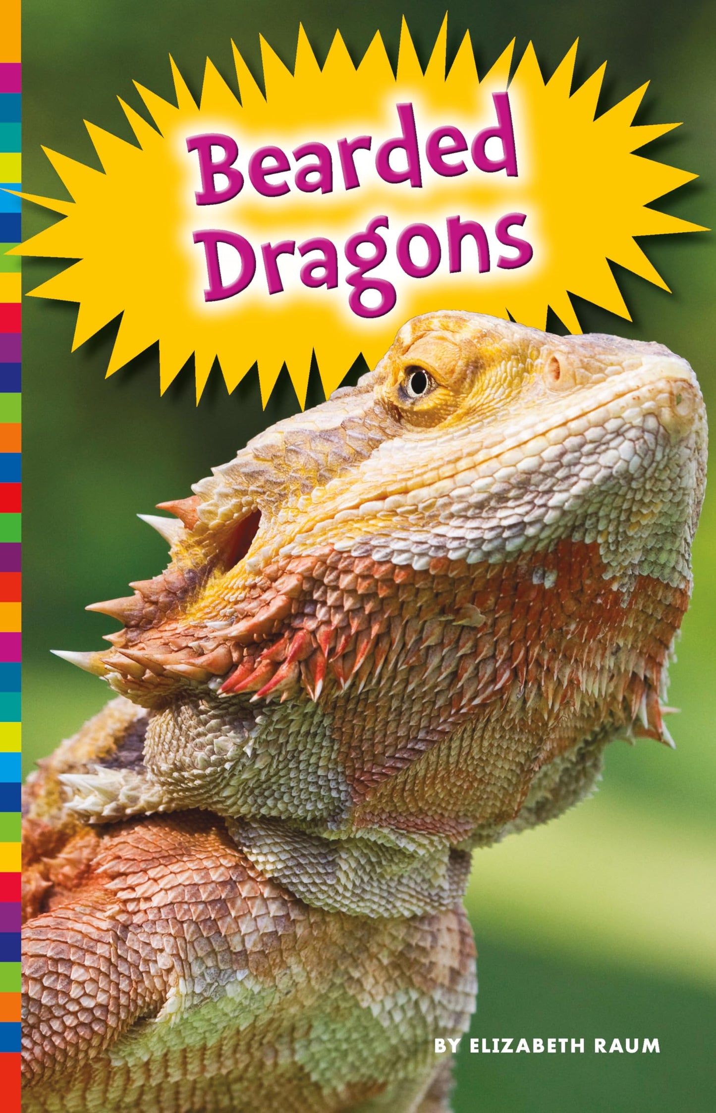 Bearded Dragons (Lizards)