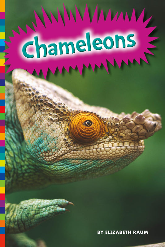 Chameleons (Lizards)