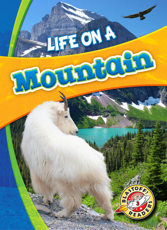 Life on a Mountain (Biomes Alive!)