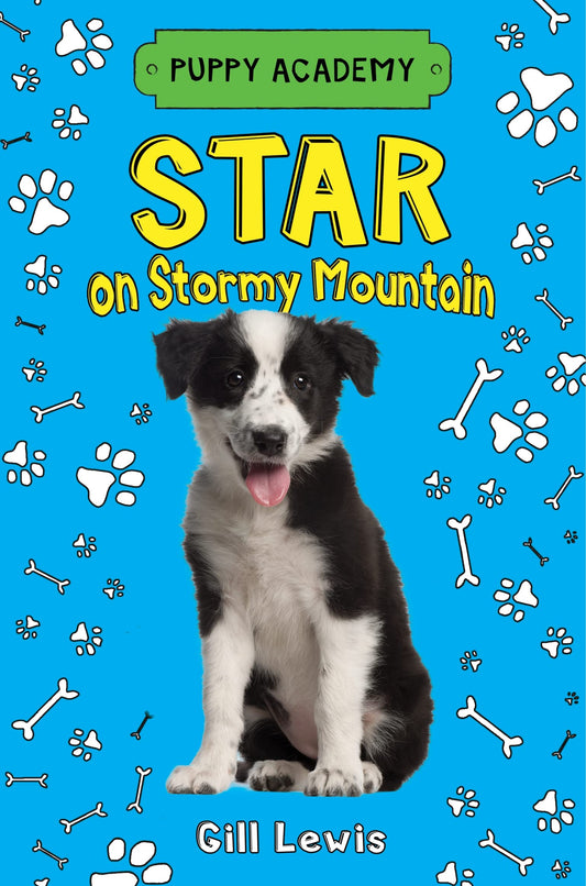 Star on Stormy Mountain (Puppy Academy, 2)