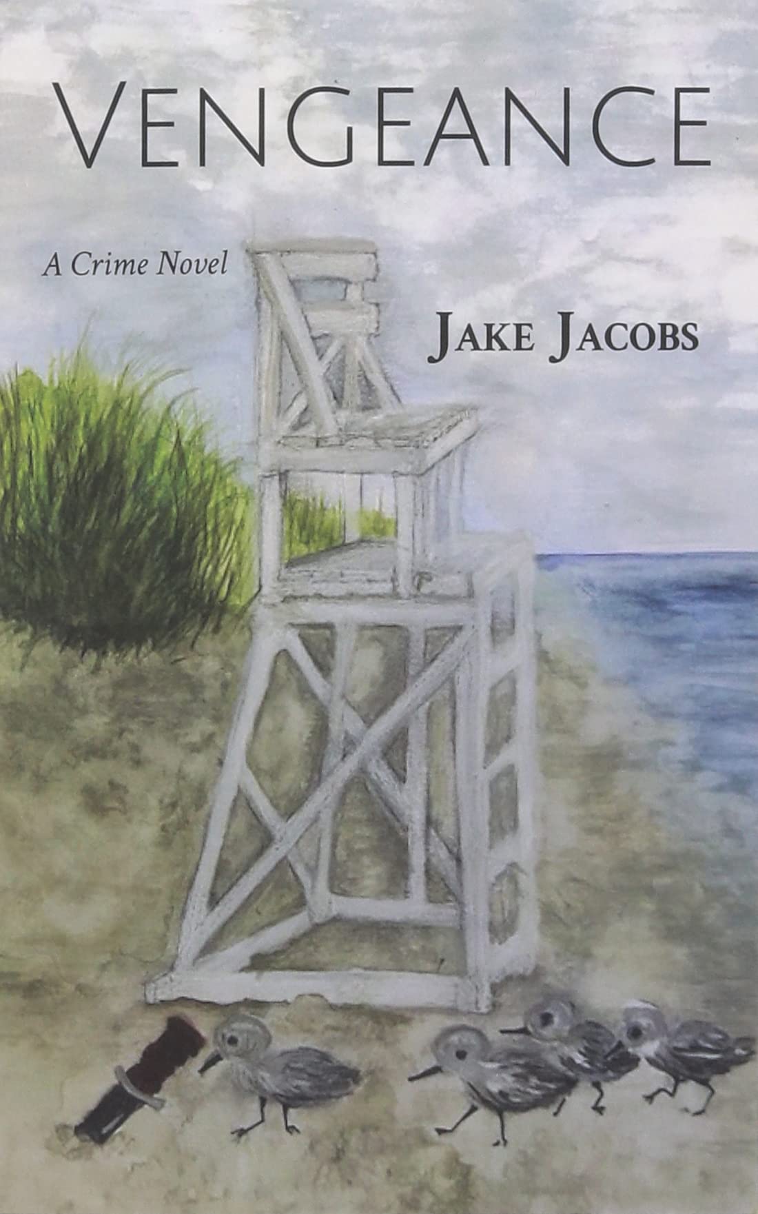 Vengeance: A Crime Novel