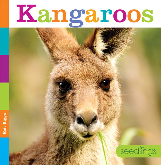 Kangaroos (Seedlings)