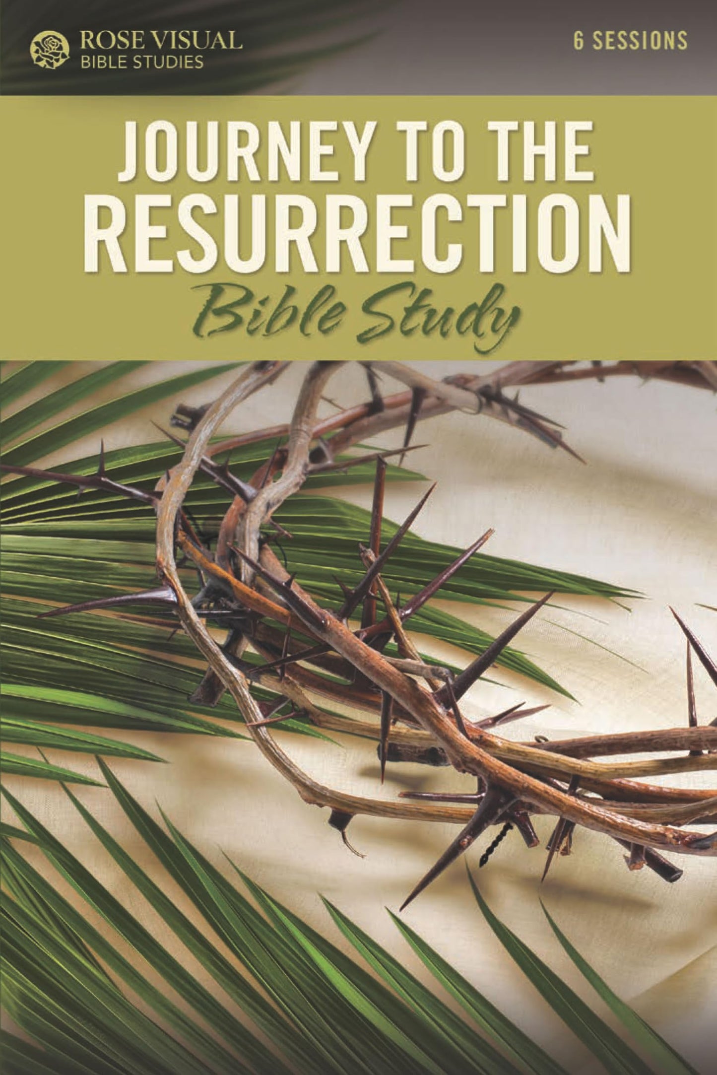 Journey to the Resurrection (Rose Visual Bible Studies) - 9988
