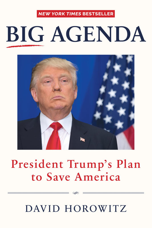BIG AGENDA: PRESIDENT TRUMP'S PL
