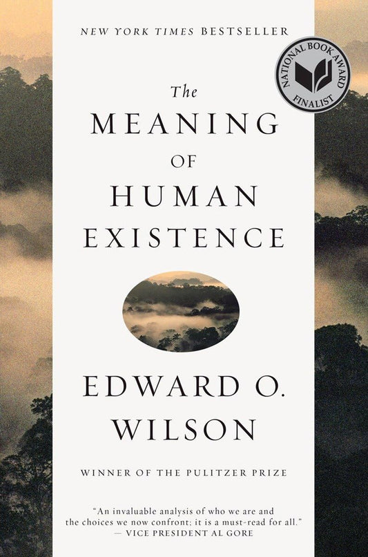 The Meaning of Human Existence - 3541