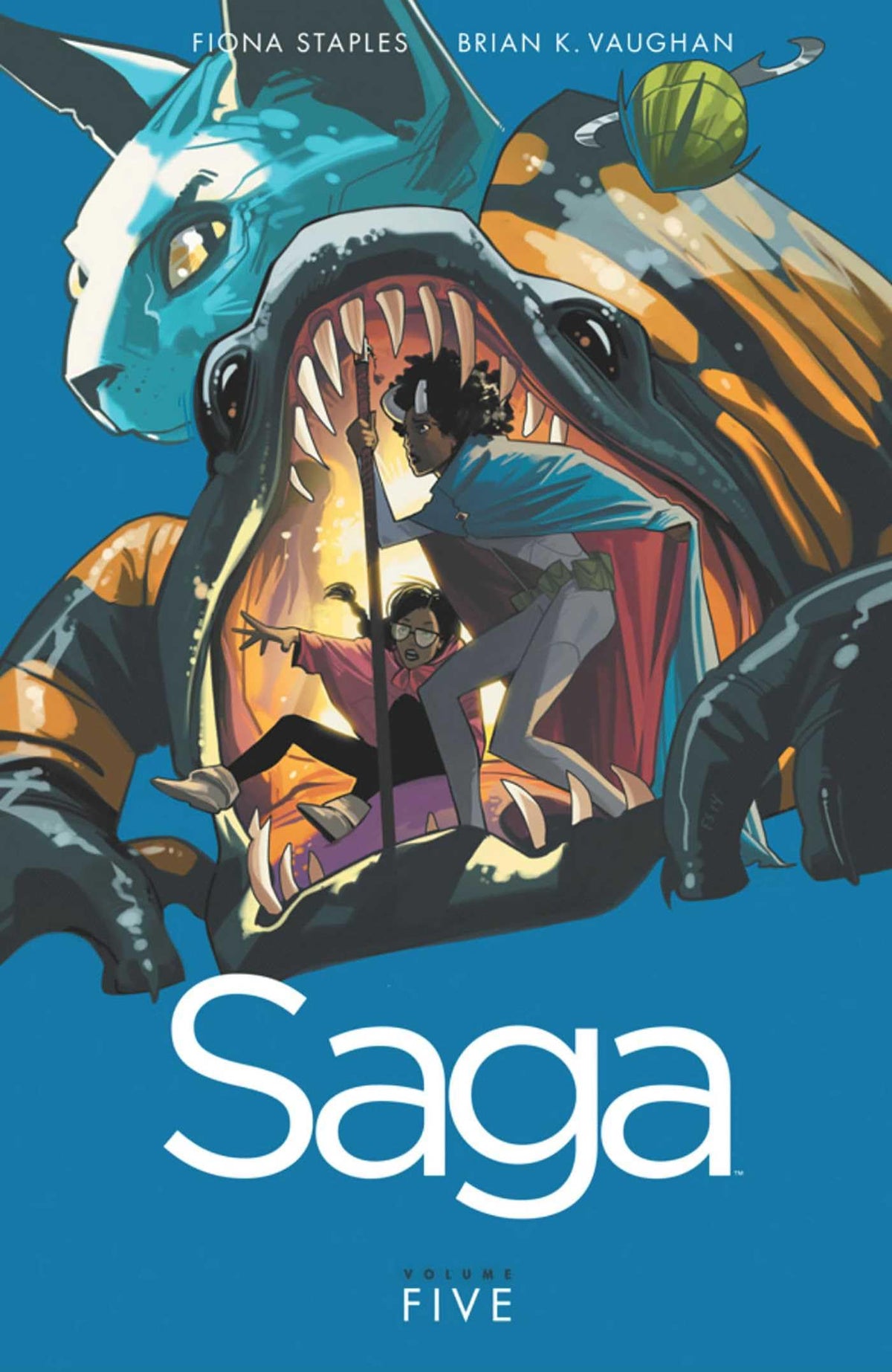 Saga, Vol. 5