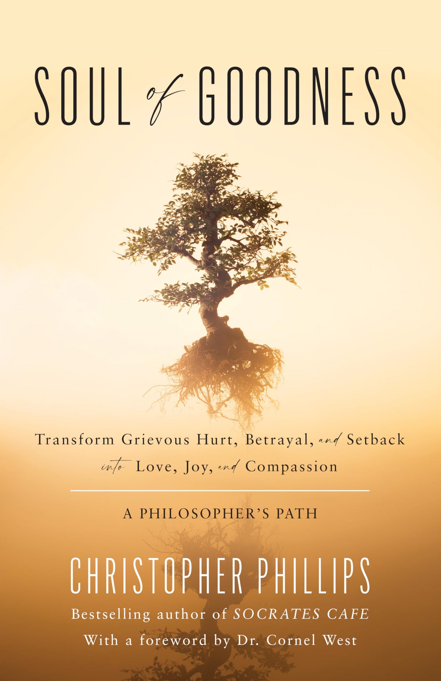 Soul of Goodness: Transform Grievous Hurt, Betrayal, and Setback into Love, Joy, and Compassion