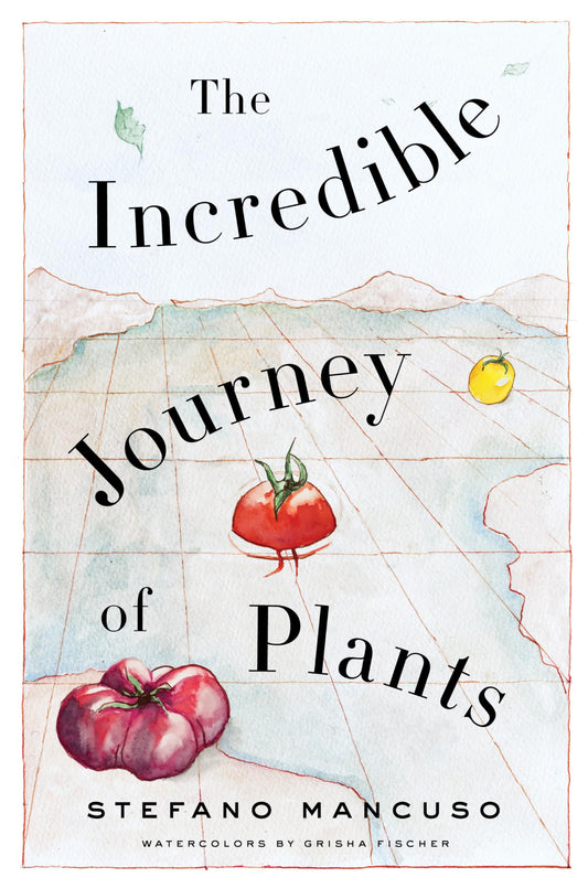 The Incredible Journey of Plants - 4475