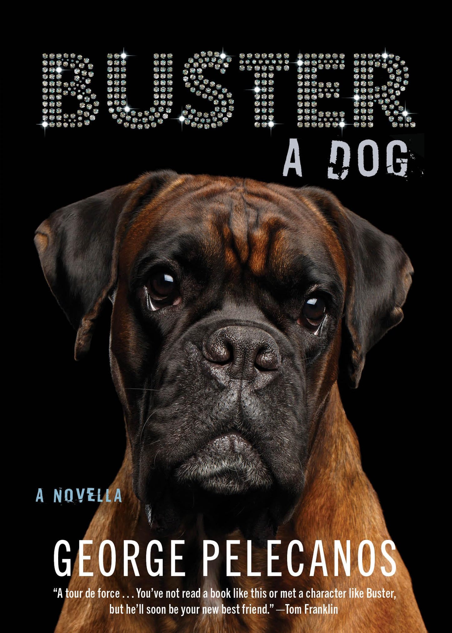 Buster: A Dog