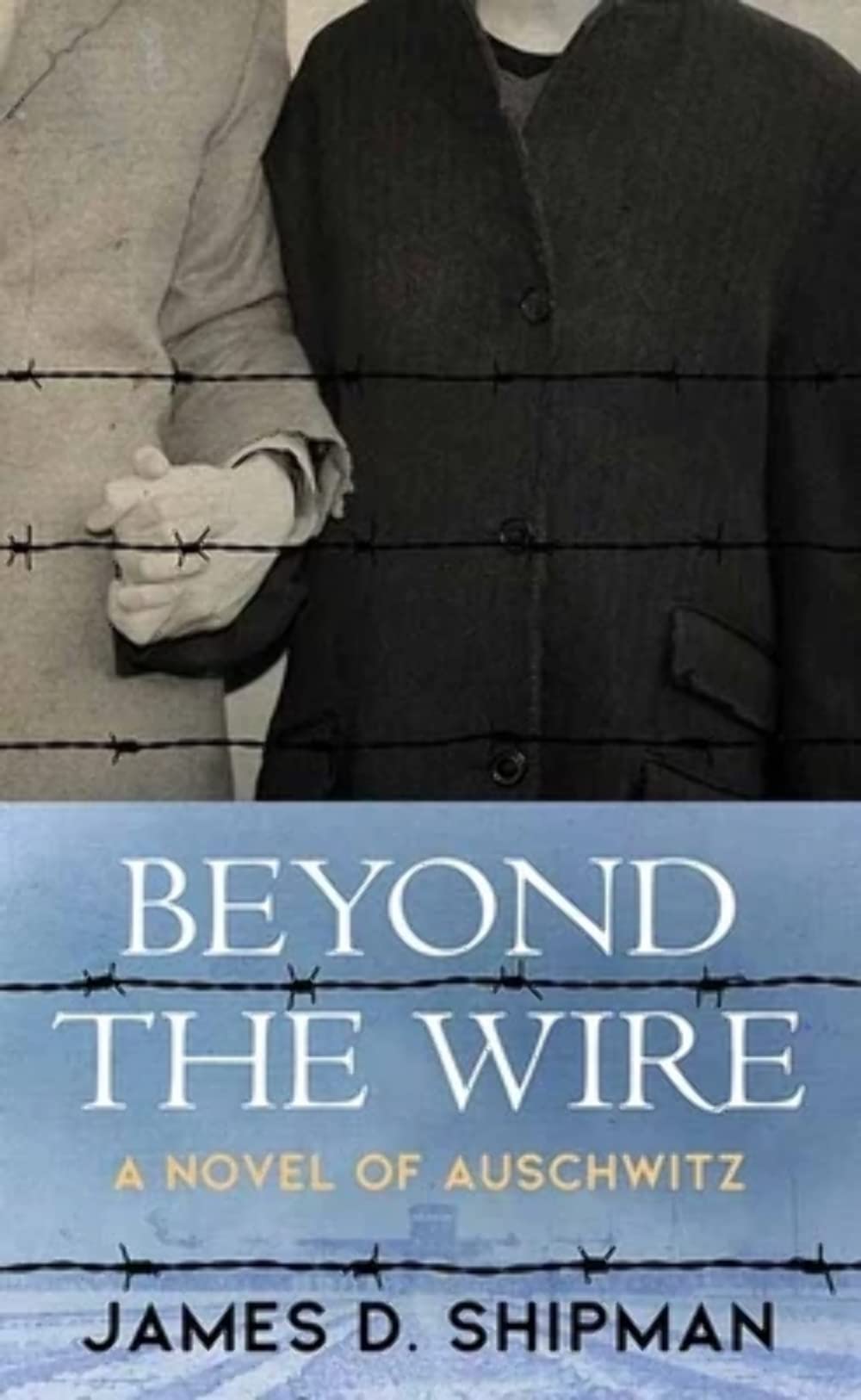 Beyond the Wire (Center Point Premier Fiction (Large Print))