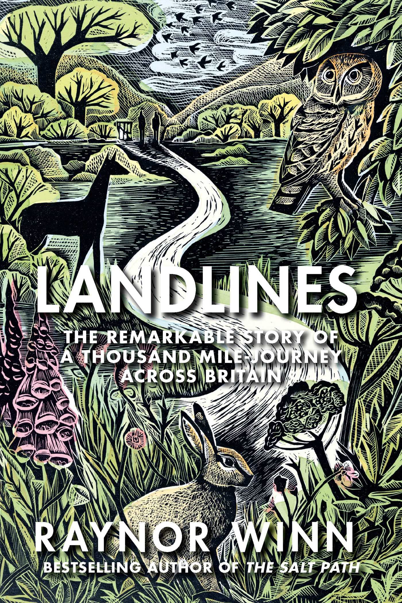 Landlines: The Remarkable Story of a Thousand-Mile Journey Across Britain - 4098