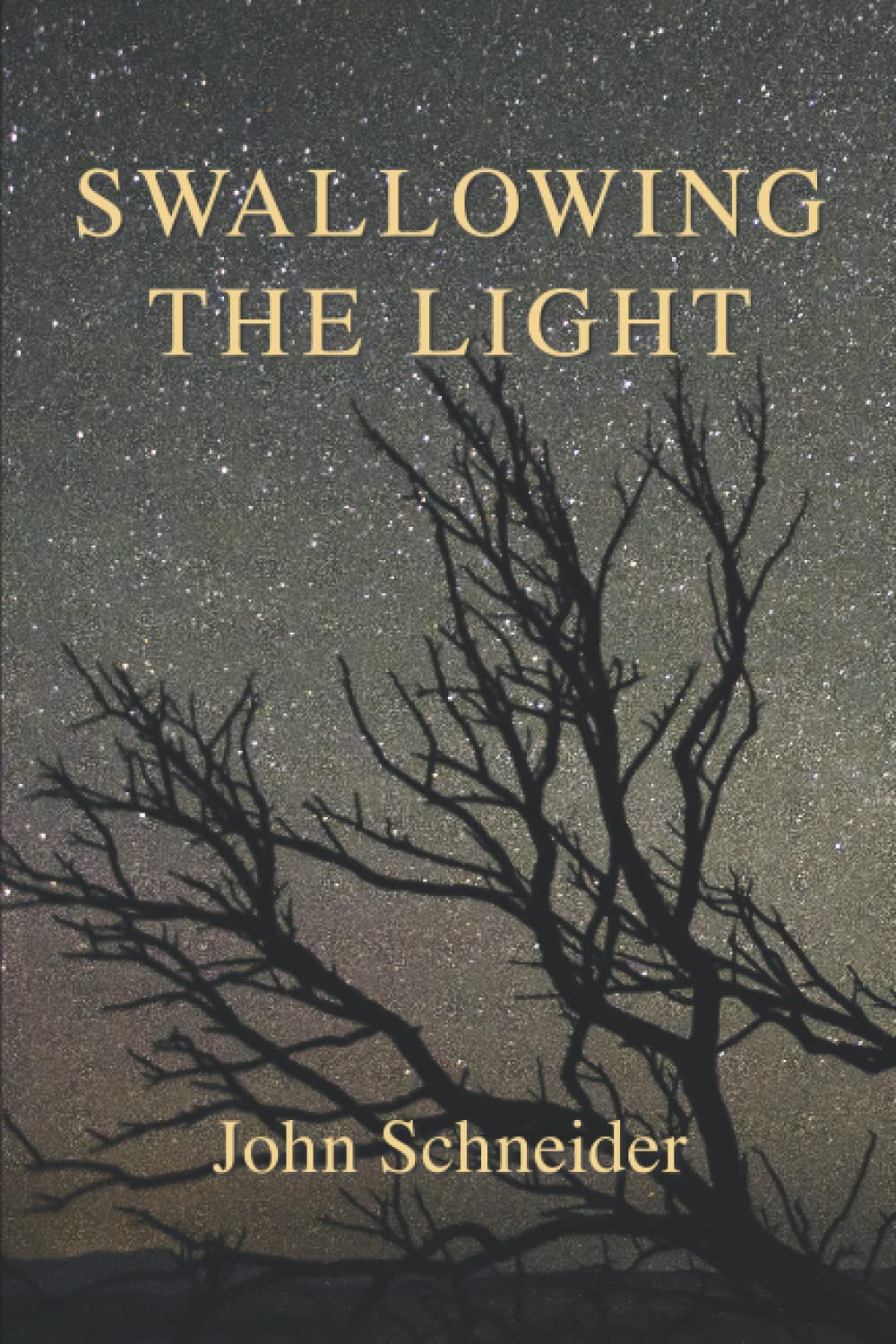 Swallowing the Light