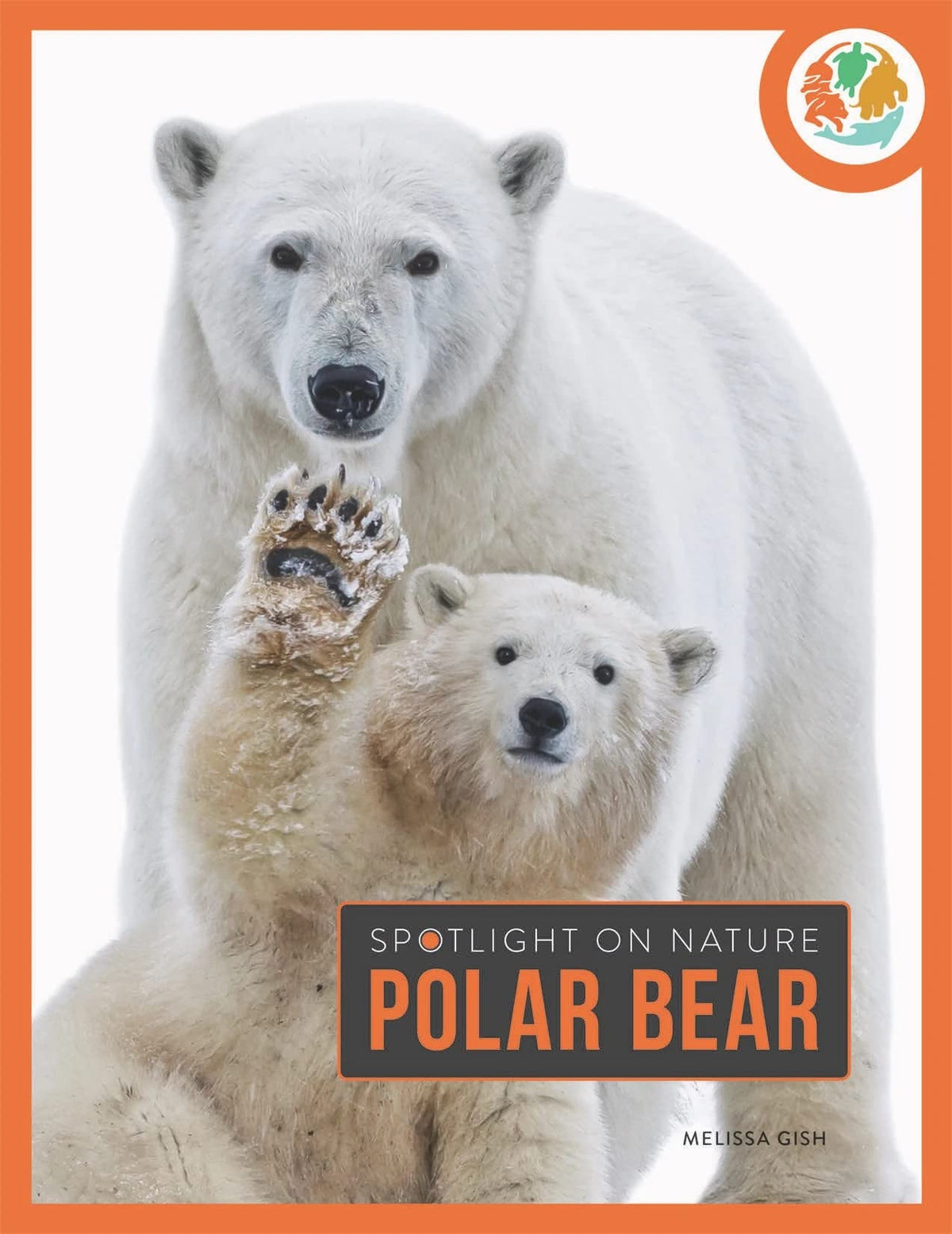Polar Bear (Spotlight on Nature)