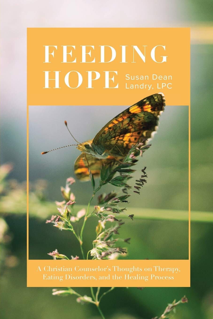 Feeding Hope: A Christian Counselor's Thoughts on Therapy, Eating Disorders, and the Healing Process - 9940