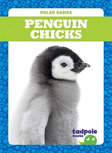 Penguin Chicks (Tadpole Books: Polar Babies)