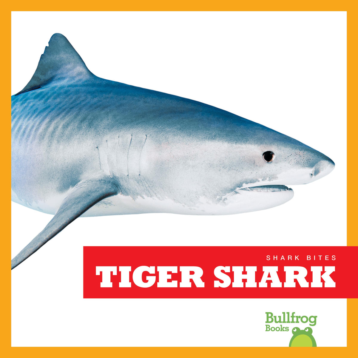 Tiger Shark (Bullfrog Books: Shark Bites)