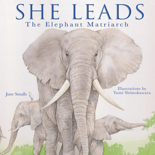 She Leads: The Elephant Matriarch - 2538