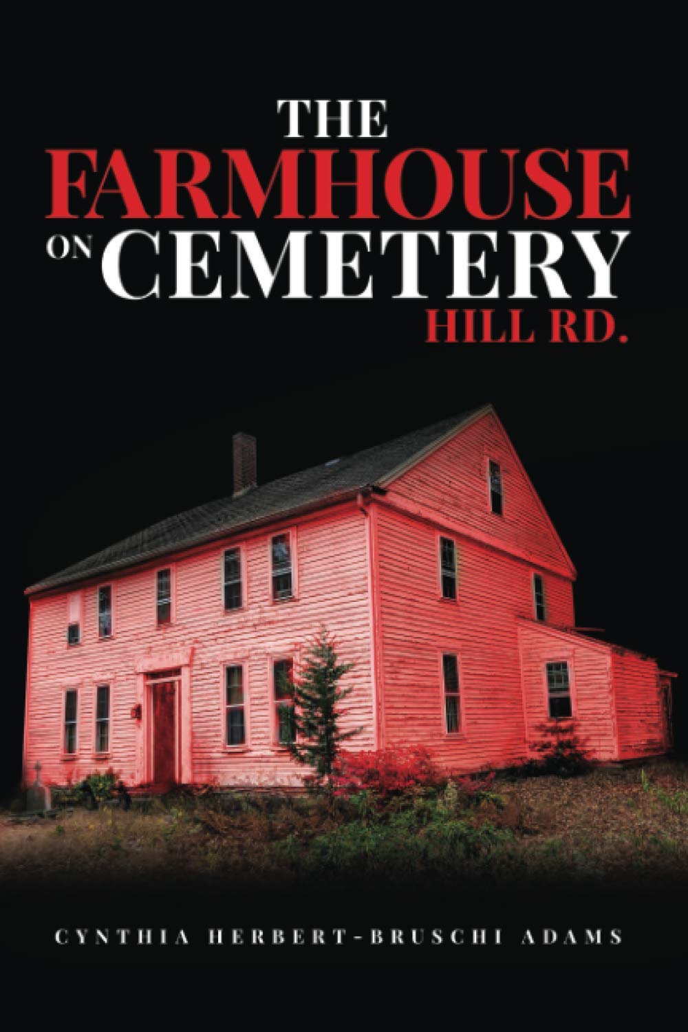 The Farmhouse on Cemetery Hill Rd (New England Historical Horror) - 79