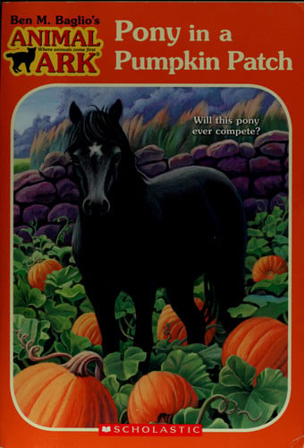 Pony in a pumpkin patch