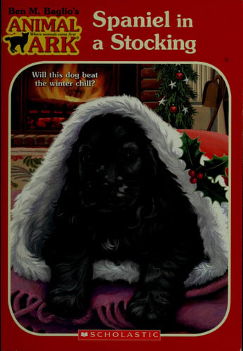 Spaniel in a Stocking