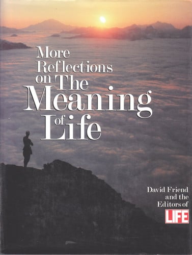 More reflections on the meaning of life