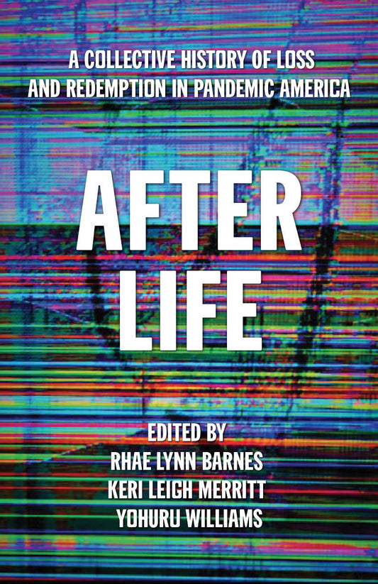 After Life: A Collective History of Loss and Redemption in Pandemic America - 3996