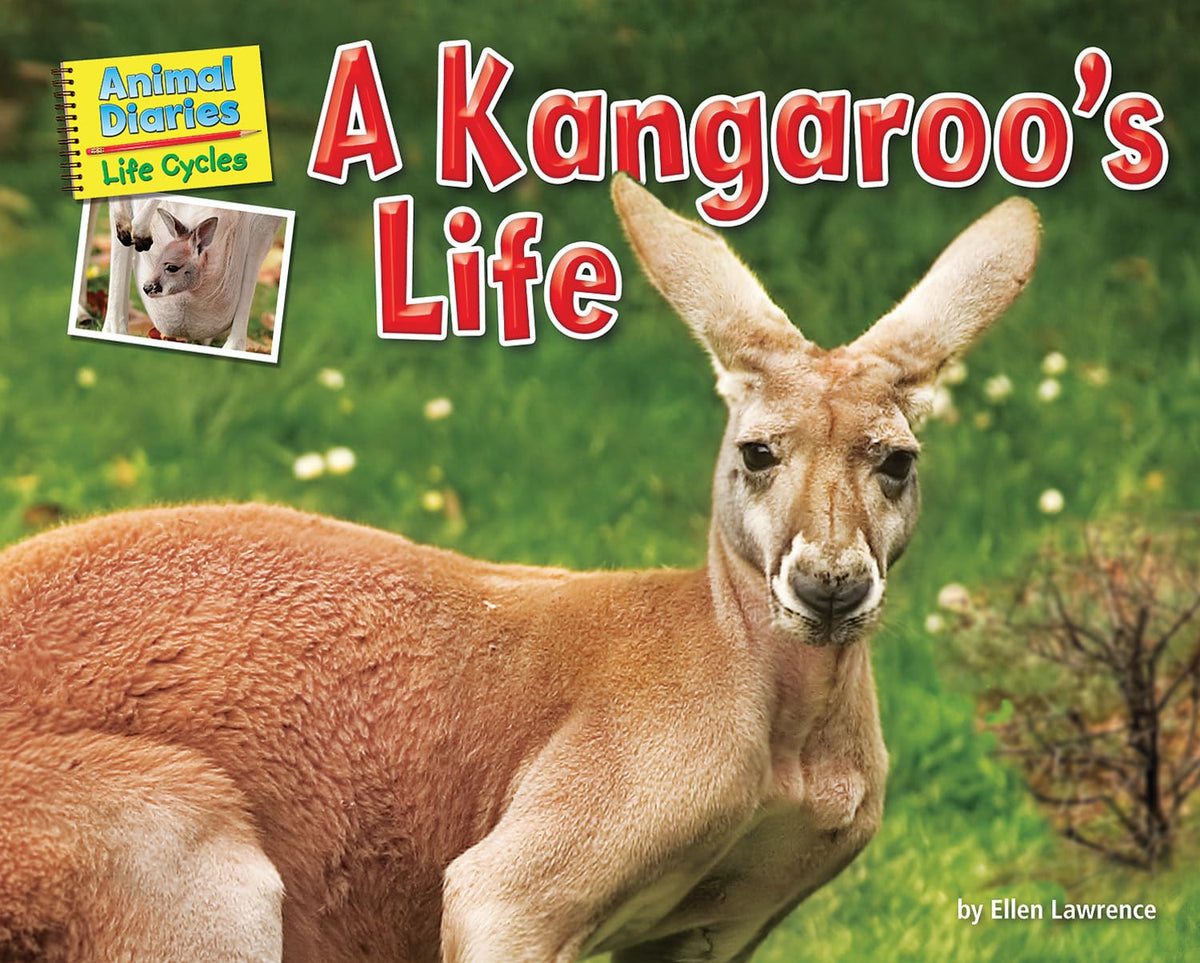 A Kangaroo's Life (Animal Diaries: Life Cycles)