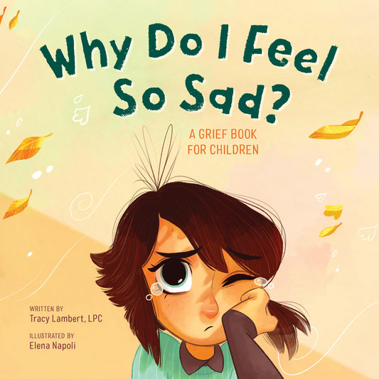 Why Do I Feel So Sad?: A Grief Book for Children - 5178