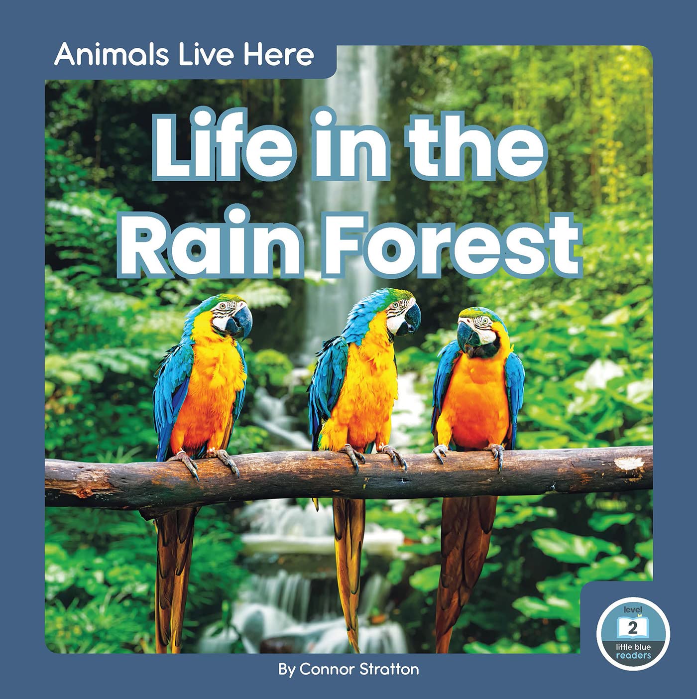 Life in the Rain Forest (Animals Live Here)