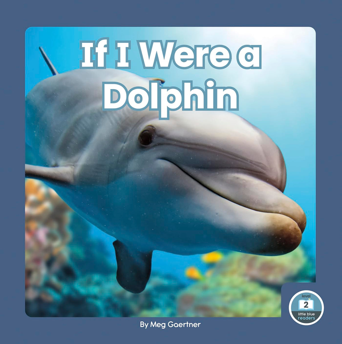 If I Were a Dolphin (If I Were an Animal)