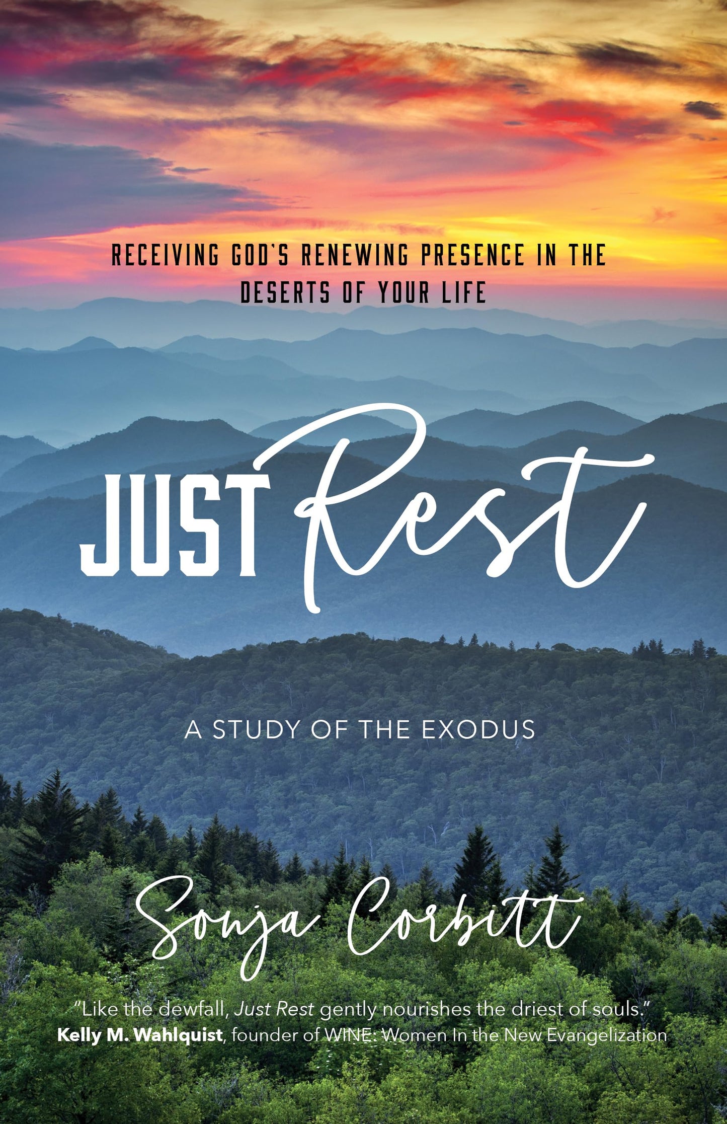 Just Rest: Receiving God’s Renewing Presence in the Deserts of Your Life - 4748