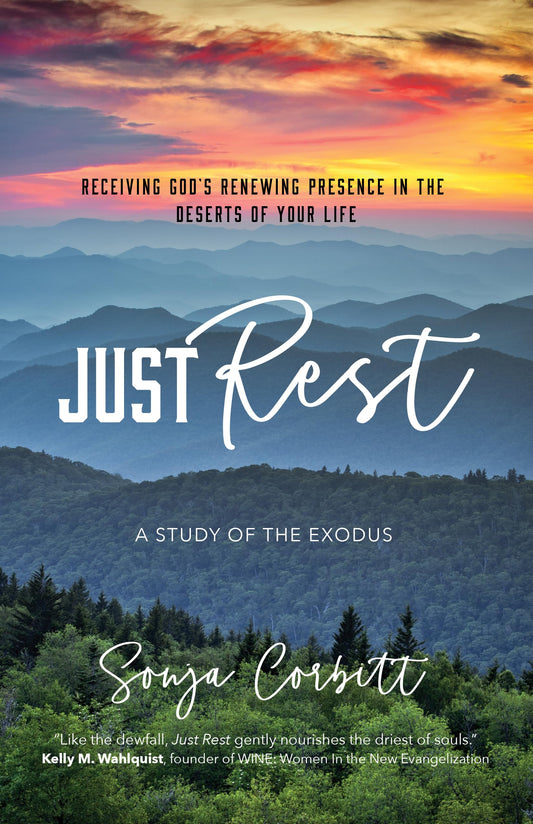 Just Rest: Receiving God’s Renewing Presence in the Deserts of Your Life - 4748
