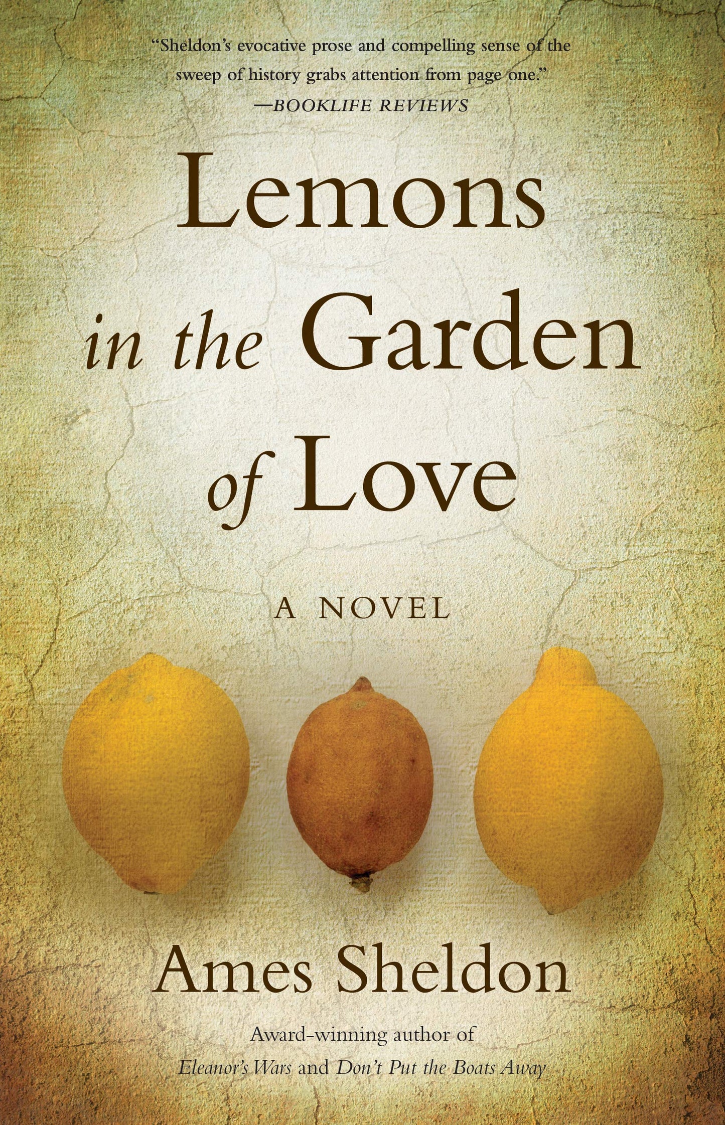 Lemons In The Garden of Love: A Novel
