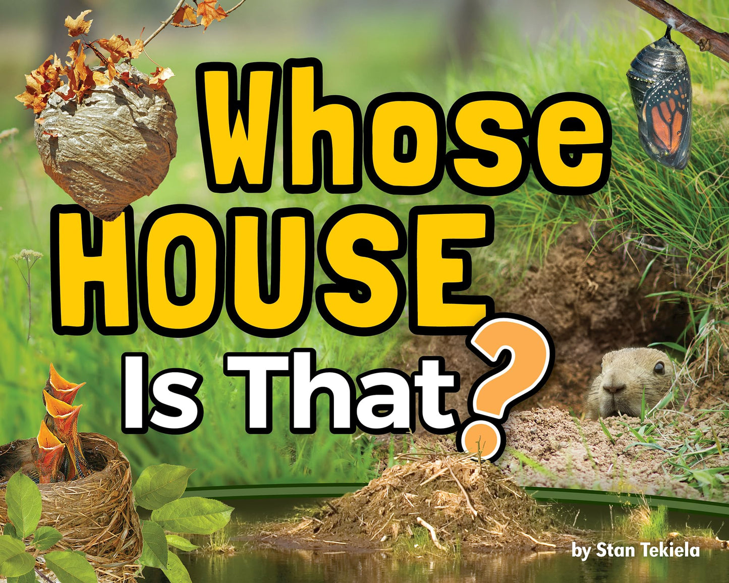 Whose House Is That? (Wildlife Picture Books) - 9616