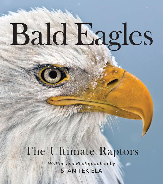Bald Eagles: The Ultimate Raptors (Favorite Wildlife) - 4515