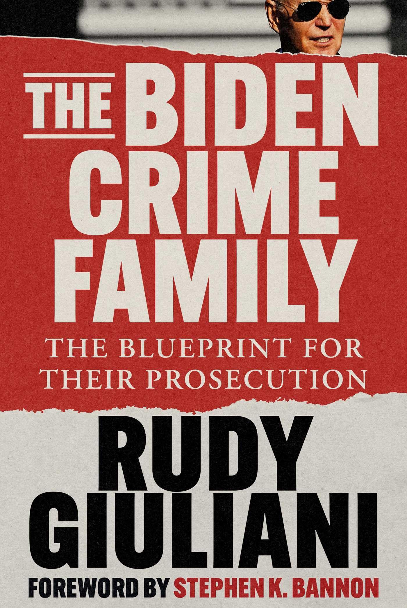 The Biden Crime Family: The Blueprint for Their Prosecution - 6891
