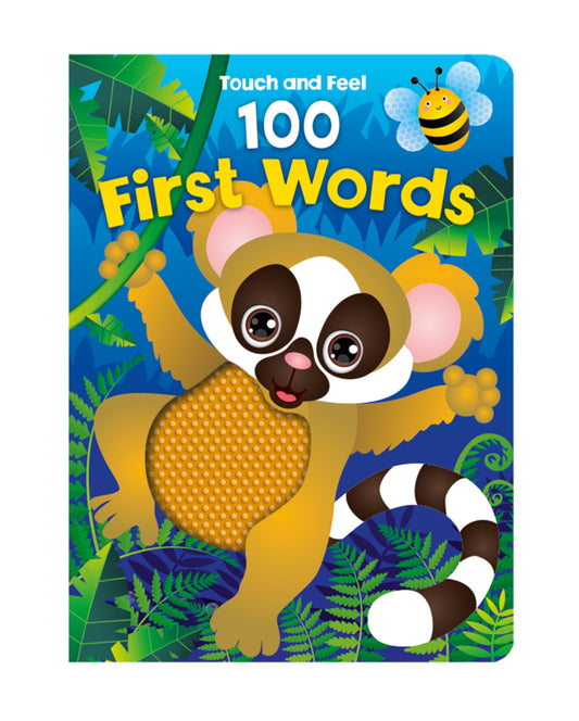 100 First Words Touch and Feel