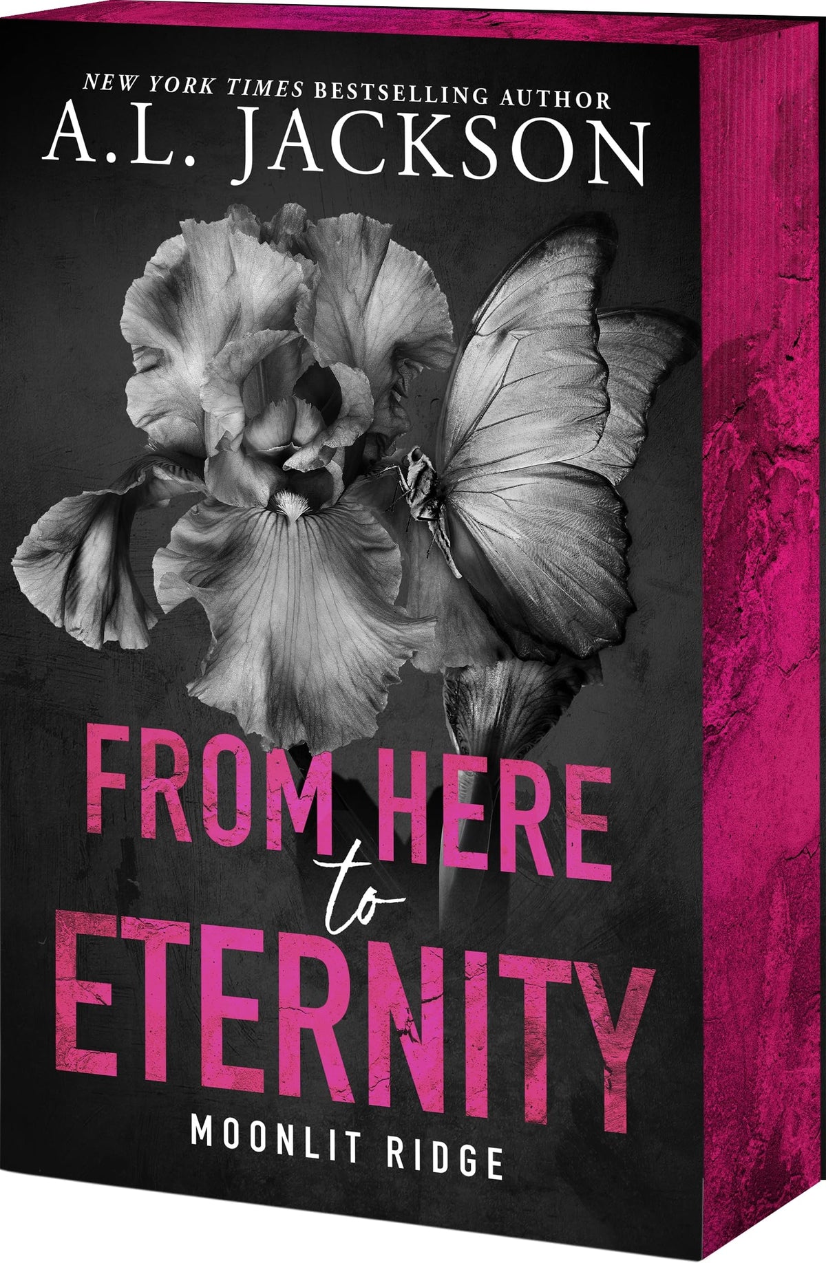 From Here to Eternity (Moonlit Ridge, 1)