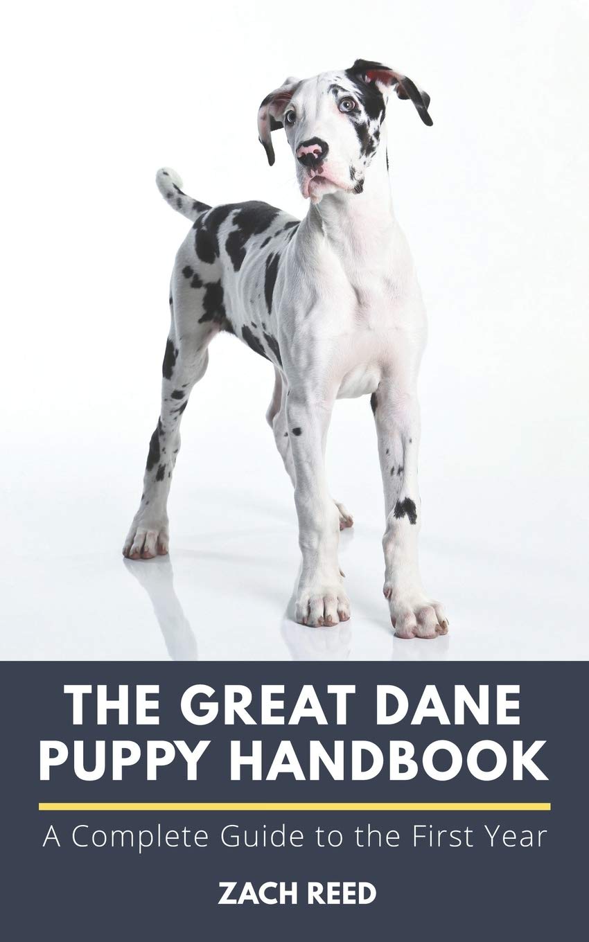 The Great Dane Puppy Handbook: A Complete Guide to the First Year - 5175