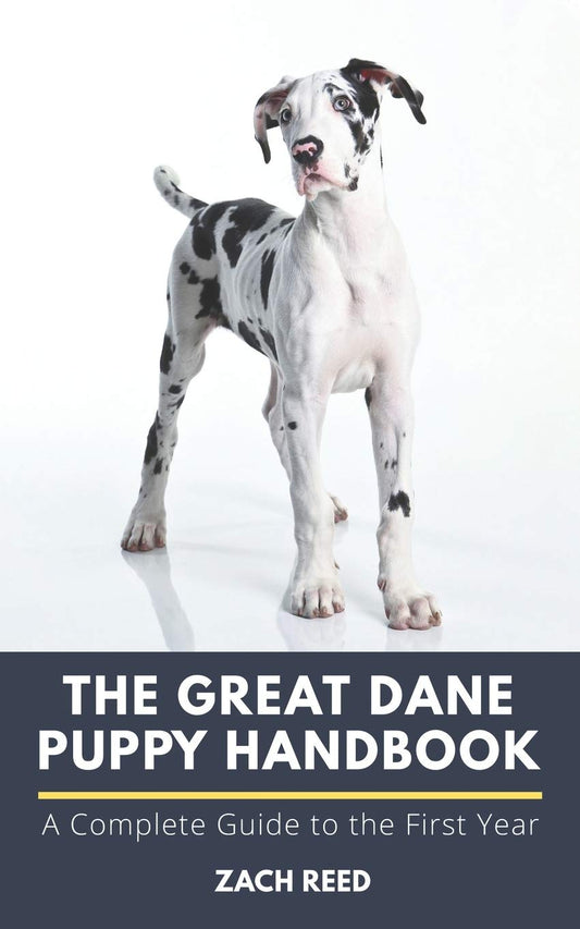 The Great Dane Puppy Handbook: A Complete Guide to the First Year - 7543