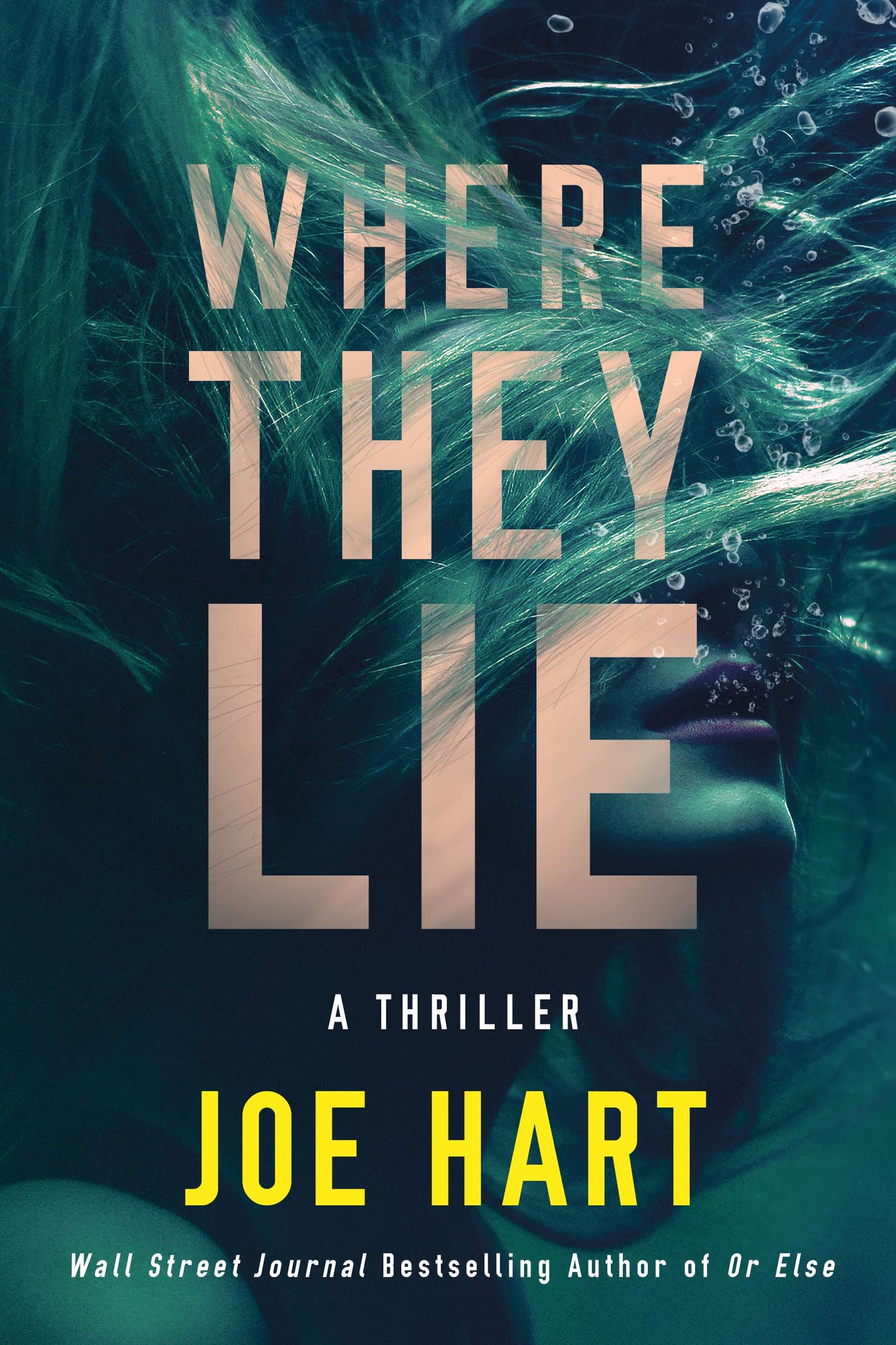 Where They Lie: A Thriller (Nora McTavish)