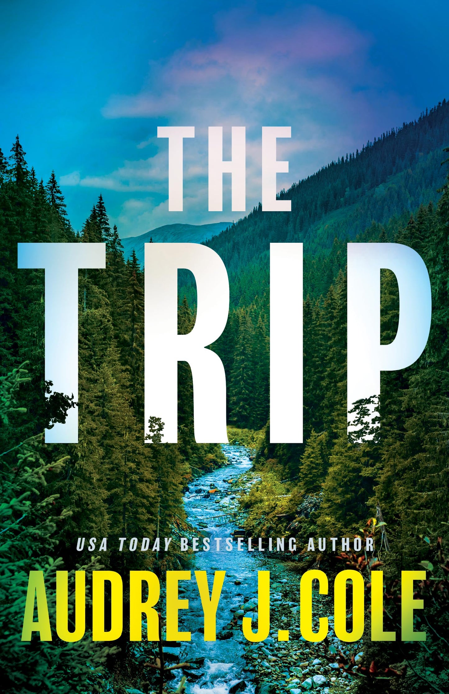 The Trip