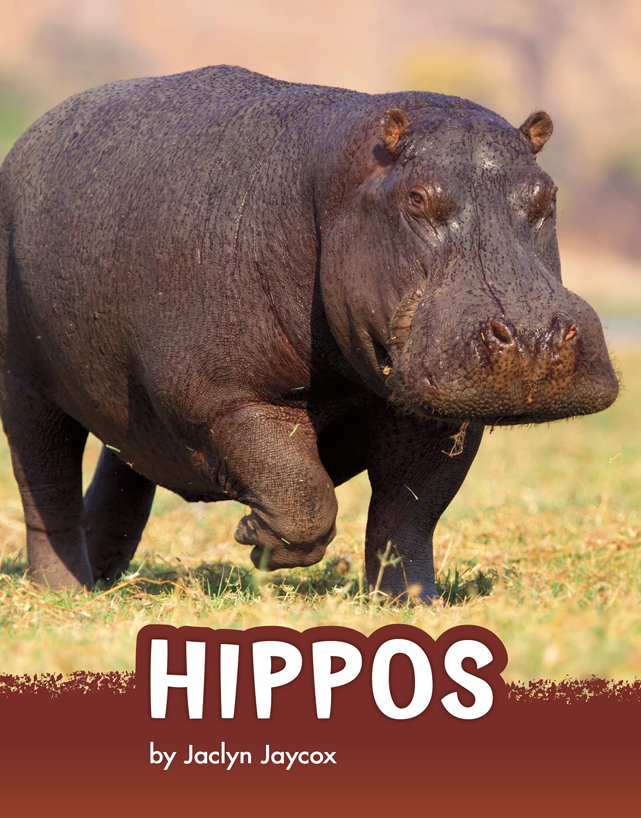 Hippos (Animals)